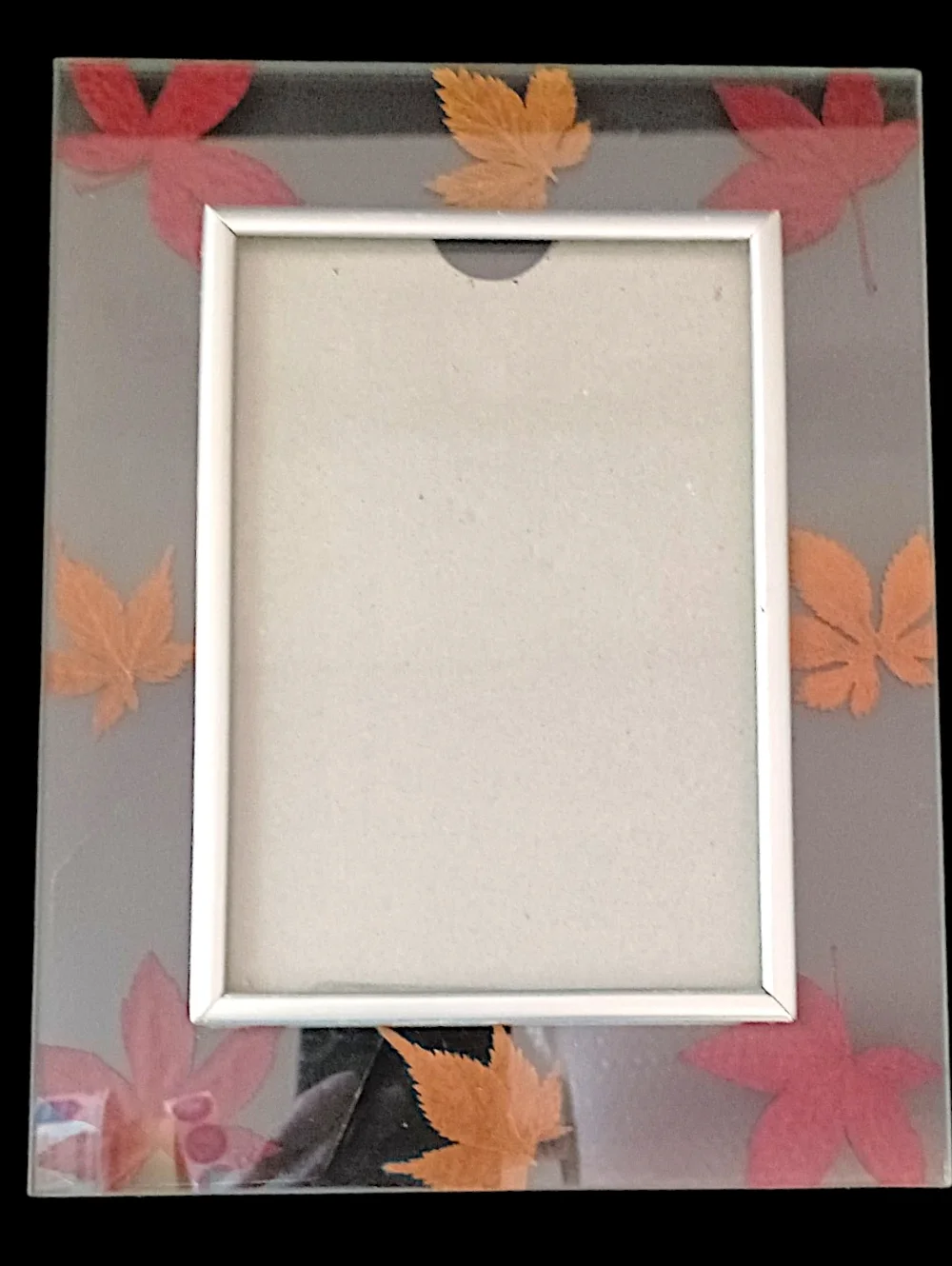 Vtg Dried Pressed Leaf Picture Photo Frame Lead Glass‎ Maple Leaves Farmhouse